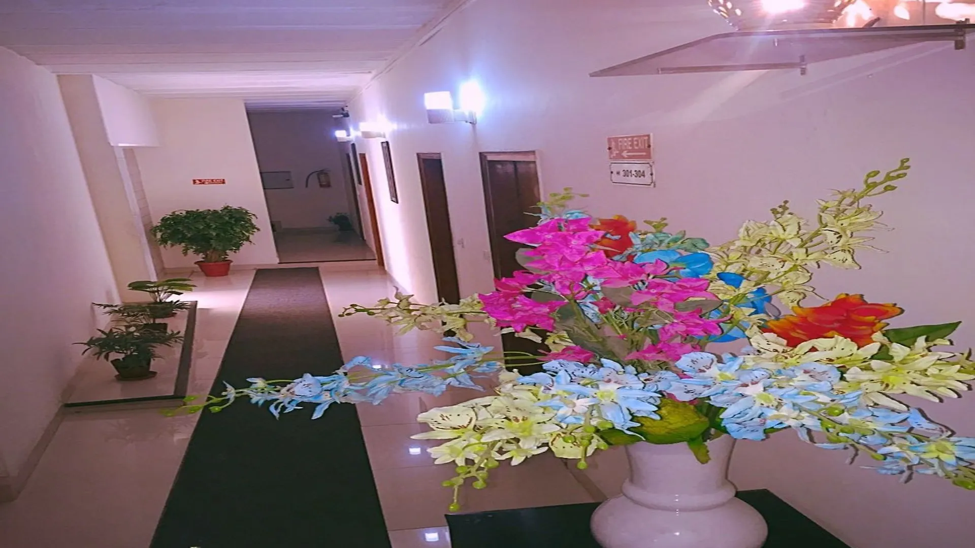**  Airport Hotel New Delhi India